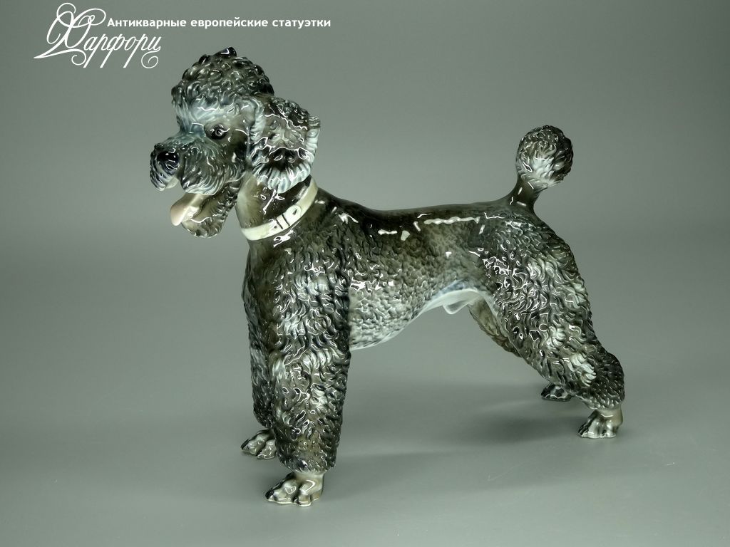 Купить фарфоровые статуэтки Rosenthal, Черный пудель, Германия